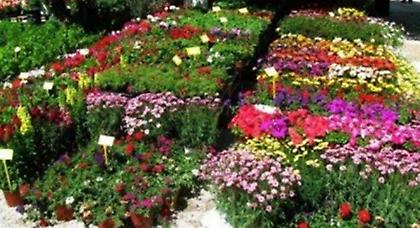 Εγκαινιάζεται η 3η Ανθοκομική Έκθεση στο πάρκο Σιδηροδρόμων στην Καλαμάτα