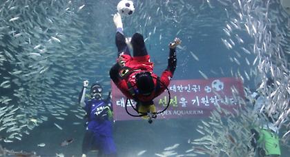 Βούτηξαν σε… σαρδέλες για καλή τύχη! (Video)