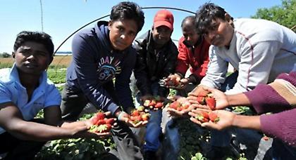 Στις 17 Ιουνίου θα συνεχιστεί η δίκη για την επίθεση στη Νέα Μανωλάδα