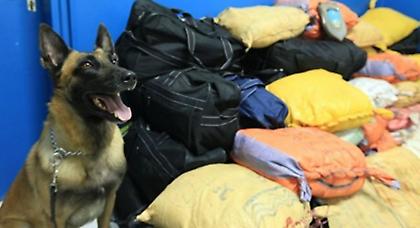 Απολογείται η πρώτη ομάδα συλληφθέντων για την ηρωίνη