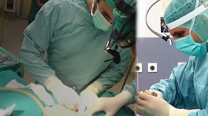 Ελλάδα: «Νο 2»... αιμοδότης του γερμανικού ΕΣΥ!