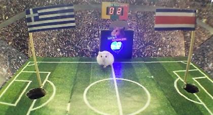 Το χάμστερ βλέπει… Κόστα Ρίκα (video)