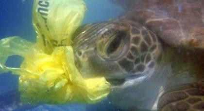 «Να μειωθεί η χρήση της πλαστικής σακούλας»