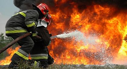 Πυρκαγιά και στη Δομβραίνα Βοιωτίας