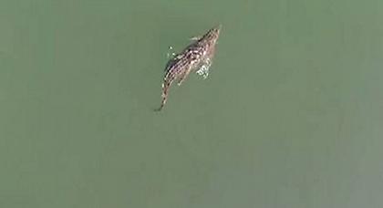 O «Σήφης» απέφυγε τις παγίδες