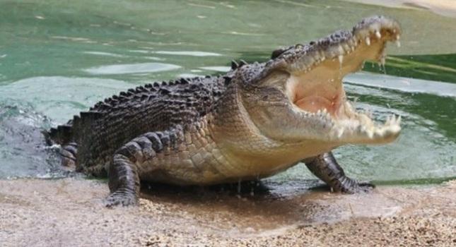 Στάση αναμονής και... plan B για τον Σήφη