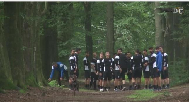 Τρέξιμο στο δάσος με... τετράποδο για παρέα