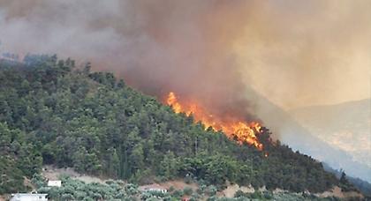 Πυρκαγιά σε εξέλιξη στο Μαλανδρένι Άργους