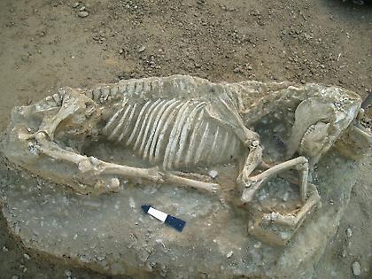 Αρχαϊκή νεκρόπολη στη Χίο