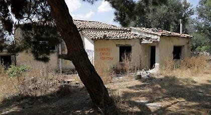 Το άλσος της εγκατάλειψης…