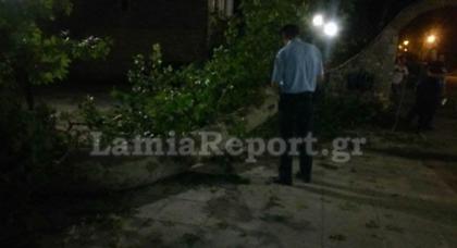 Τραγωδία στη Λαμία - Πλάτανος καταπλάκωσε δύο αδερφάκια