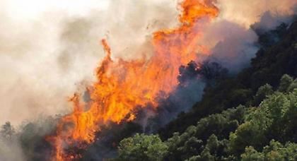 Φλέγονται τα Συχαινά στην Πάτρα