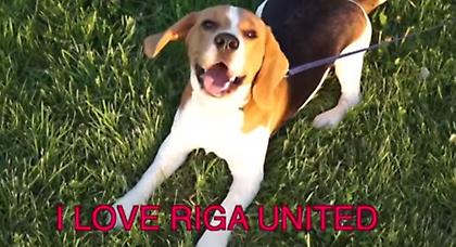 Το υπέροχο ταξίδι μιας ασυνήθιστης ομάδας (video)