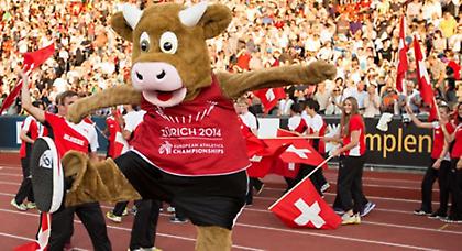 Η αγελάδα που κάνει επί κοντώ! (video)