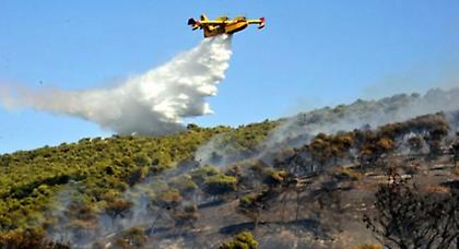 Συνελήφθη 65χρονος για πυρκαγιά στο Καστρί