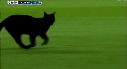 Δεν «μασάει» από μαύρες γάτες η Μπαρτσελόνα! (video)