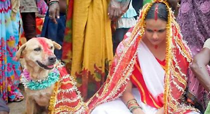 Μια 18χρονη Ινδή παντρεύτηκε σκύλο!