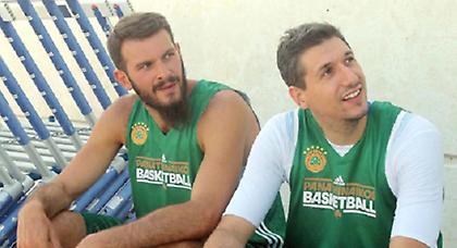 Πάνε Γαλλία Φώτσης, Μαυροκεφαλίδης