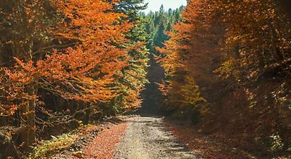 Πρόγνωση καιρού Τετάρτης, 24 Σεπτεμβρίου