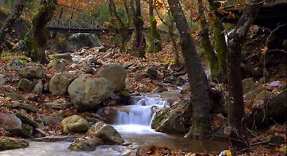Πρόγνωση καιρού Παρασκευής, 26 Σεπτεμβρίου