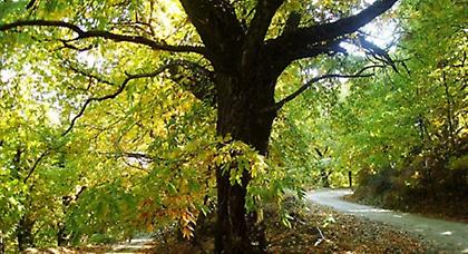 Πρόγνωση καιρού Πέμπτης, 2 Οκτωβρίου