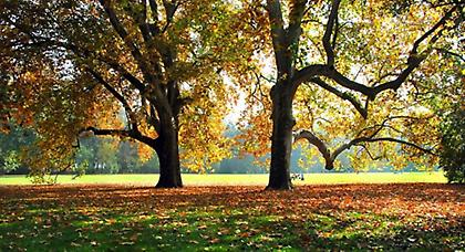 Πρόγνωση καιρού Παρασκευής, 3 Οκτωβρίου