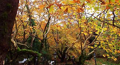 Πρόγνωση καιρού  Δευτέρας, 6 Οκτωβρίου