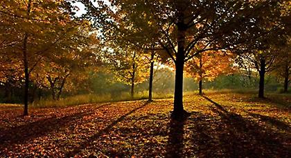 Πρόγνωση καιρού  Παρασκευής, 10 Οκτωβρίου