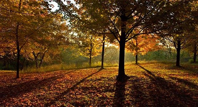 Πρόγνωση καιρού  Παρασκευής, 10 Οκτωβρίου
