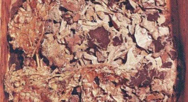 Νέες φωτογραφίες από τη μάσκα του Φιλίππου Β' (pics)