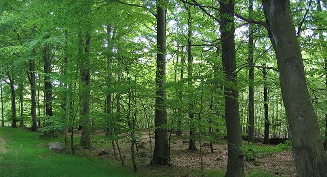 Πρόγνωση καιρού Τρίτης, 14 Οκτωβρίου