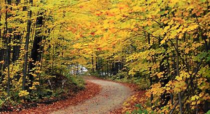 Πρόγνωση καιρού Πέμπτης, 16 Οκτωβρίου