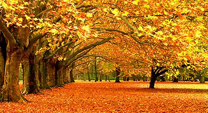 Πρόγνωση καιρού Δευτέρας, 20 Οκτωβρίου