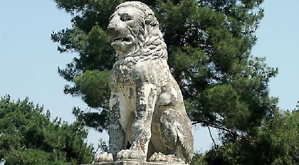 Το λιοντάρι στην Αμφίπολη μαρτυρά το φύλο του νεκρού