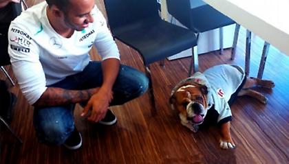 Πιο θορυβώδης κι από… Formula 1 ο σκύλος του Χάμιλτον (video)