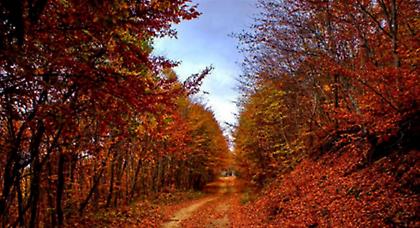 Πρόγνωση καιρού Τρίτης, 21 Οκτωβρίου