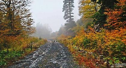 Πρόγνωση καιρού Τετάρτης, 5 Νοεμβρίου