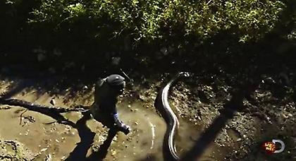 Σάλος με εκπομπή όπου ανακόντα τρώει ζωντανό έναν άνθρωπο (video)