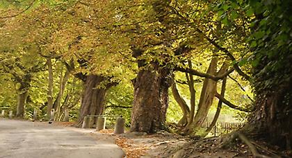 Πρόγνωση καιρού Δευτέρας, 17 Νοεμβρίου