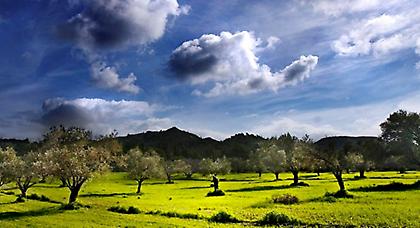 Πρόγνωση καιρού Παρασκευής, 5 Δεκεμβρίου