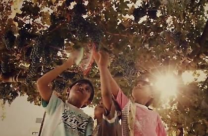 Η κρητική γαστρονομία σε video