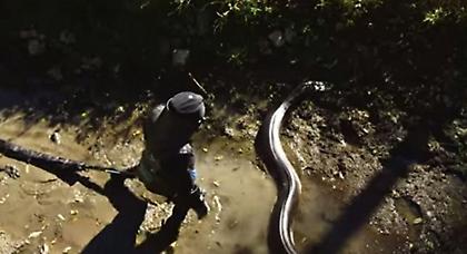 Ο «τρελός» του Discovery περιγράφει: Έτσι ένιωσα όταν με έφαγε το ανακόντα