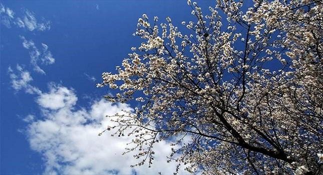 Καλός ο καιρός με άνοδο της θερμοκρασίας
