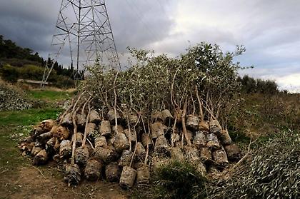 Η ΕΡΓΟΣΕ δείχνει το περιβαλλοντικό της πρόσωπο