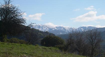 Πρόγνωση καιρού Πέμπτης, 15 Ιανουαρίου
