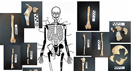 Αμφίπολη: Σε πέντε άτομα ανήκουν τα 550 οστά που βρέθηκαν στον τάφο