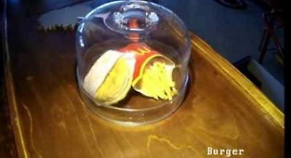 Μπέργκερ των McDonald's εκτίθεται σε μουσείο της Ισλανδίας