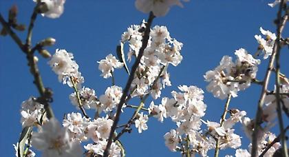 Πρόγνωση καιρού Τρίτης, 3 Μαρτίου