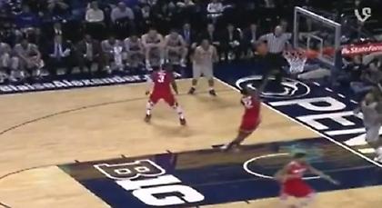 Καλάθι με… τάπα (video)