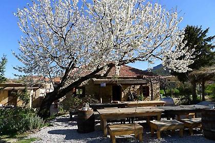 Μιά ξεχωριστή εμπειρία στο Re Green